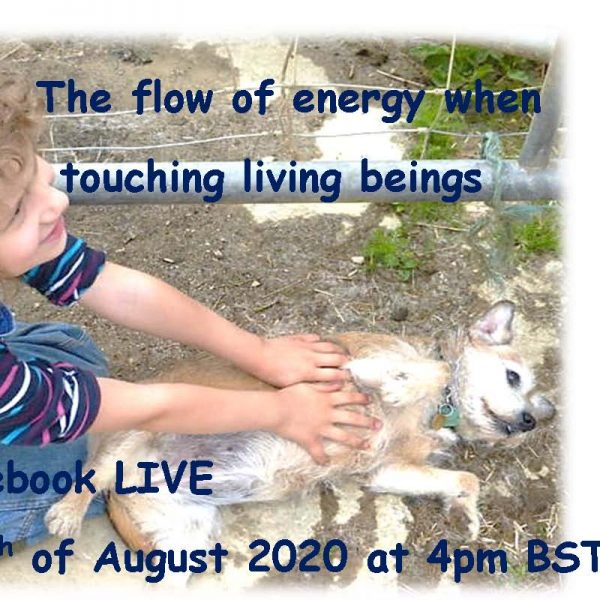 CHIT CHAT -                           The flow of energy when                touching living beings