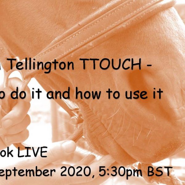 Mouth Tellington TTOUCH -  How to do it and how to use it