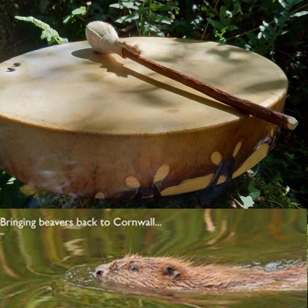 SPECIAL Summer Solstice Drumming Circle - Drumming for the BEAVER