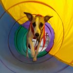 28.05.26 Teenager Play and Learn Group